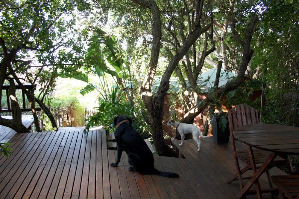 Zen Guesthouse Jeffreys Bay Exteriör bild